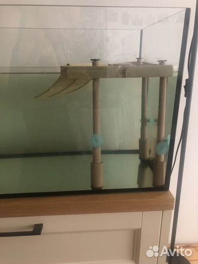 Островок для черепахи