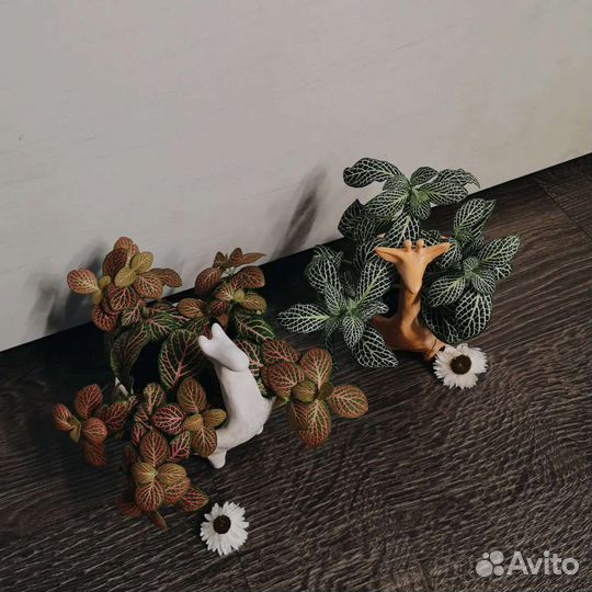 Керамические горшки и кашпо