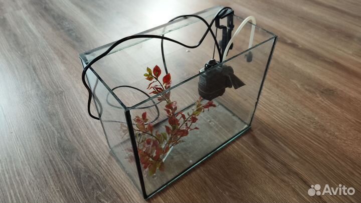 Аквариум с крышкой 10 л с фильтром