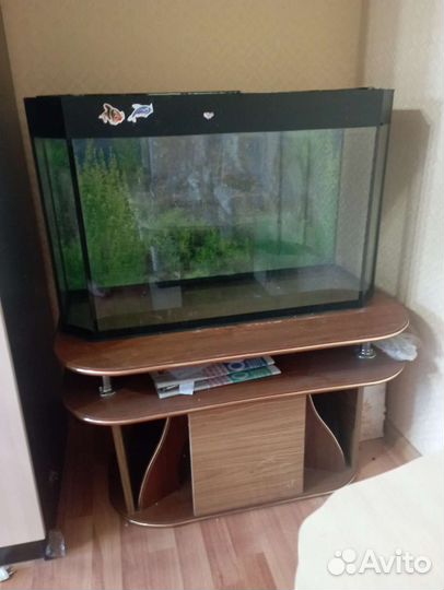 Аквариум