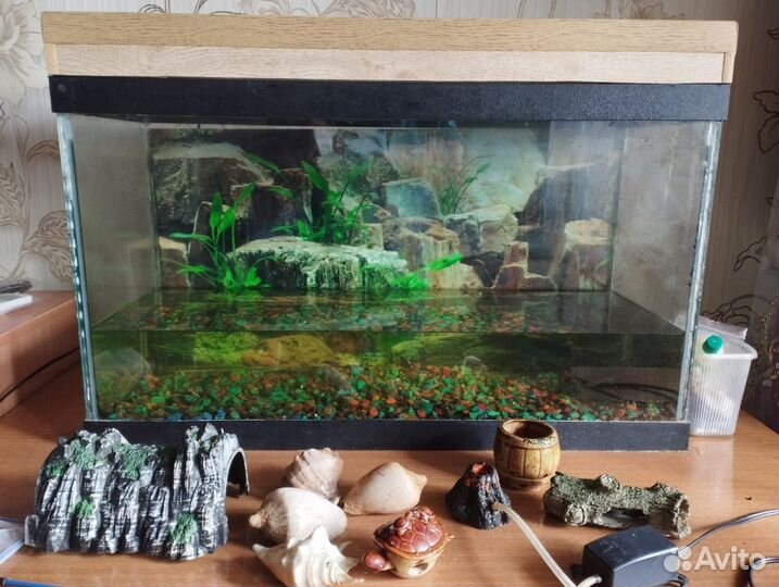 Аквариум