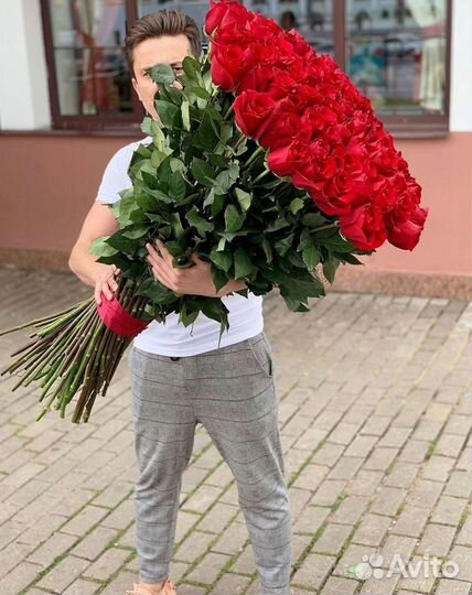 Розы гиганты 140 150 160 170 180 200