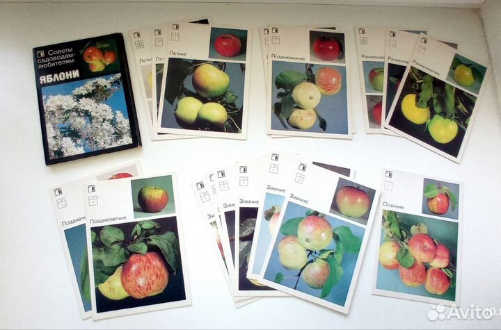 Наборы открыток