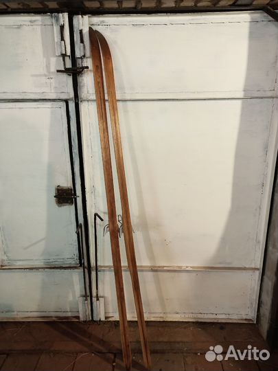 Беговые лыжи