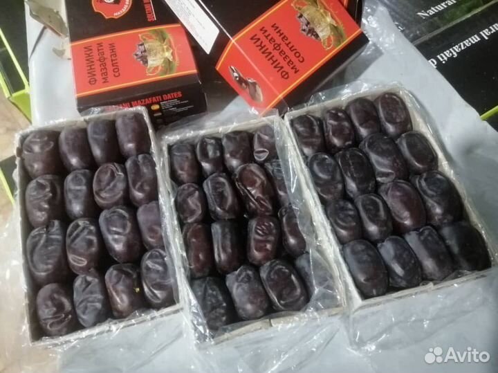 Финики иранские 