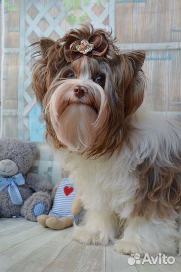 Очаровательная блондинка Ева