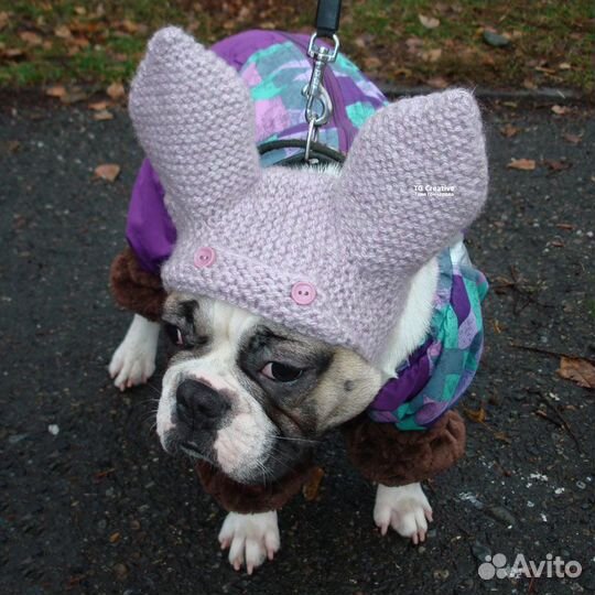 Шапочка с завязками для собак