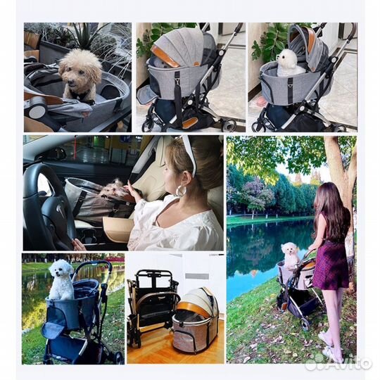 Коляска для собак