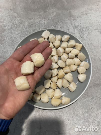 Морской гребешок