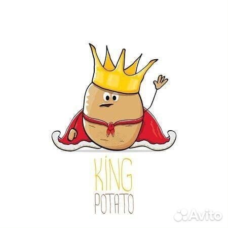 Вахта упаковщик без тсд Москва проживание+питание