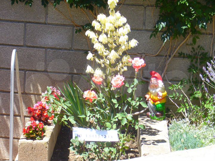 Комната 15 м², 1/1 эт.