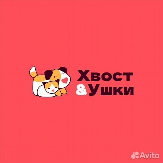 Стрижка, экспресс-линька собак в груминг салоне