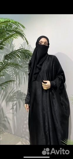 Абая блестящая