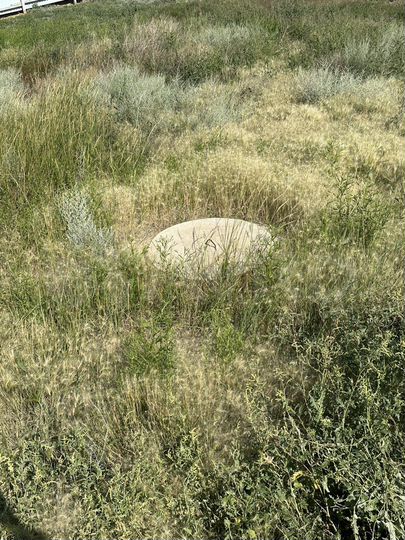 Участок 6 сот. (ИЖС)