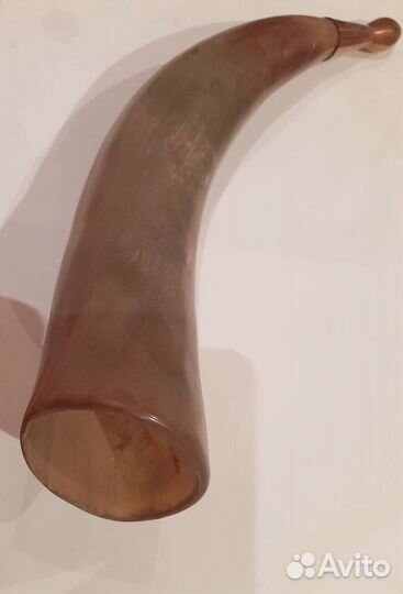 Сувенирный рог кавказский