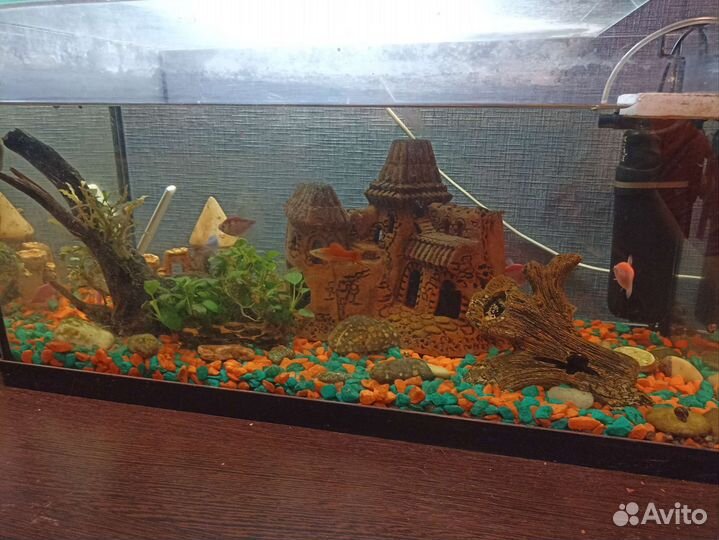 Аквариум
