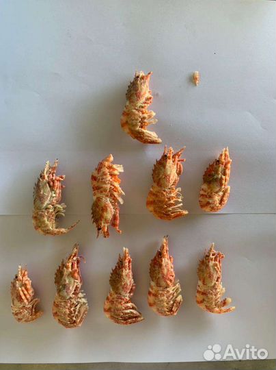 Рыба и морепродукты