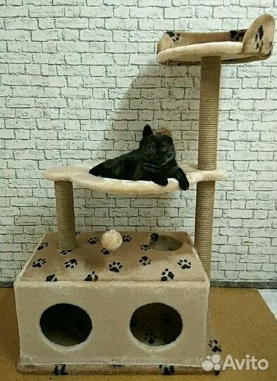 Игровой комплекс для кошек Домик для двоих