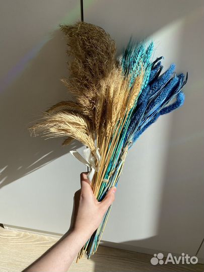 Сухоцветы для декора