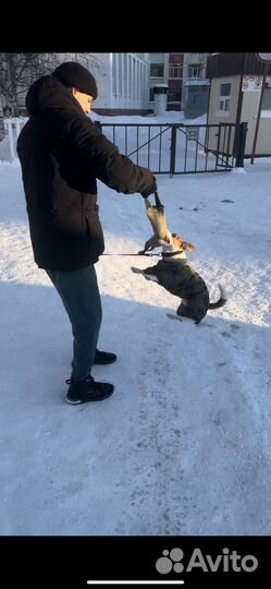 Игрушка перетяжка для собак (ухват)