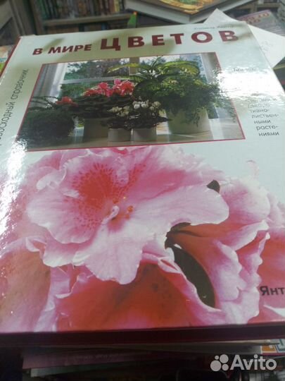 Книга справочник «В мире цветов», автор Халина Хей