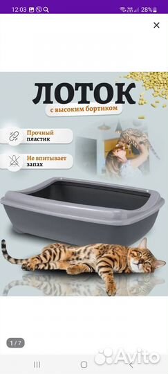 Лоток для кошек