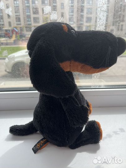 Собака ваксон