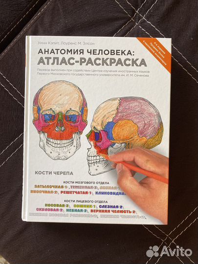 Книга анатомия человека атлас раскраска
