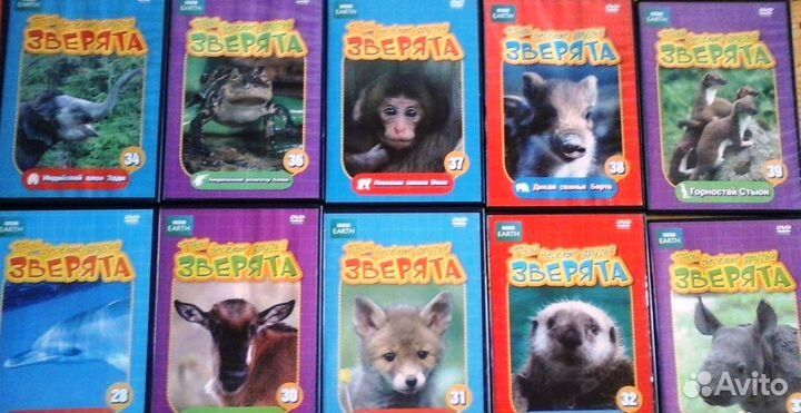 DVD Твои веселые друзья зверята, BBC. 40 выпусков