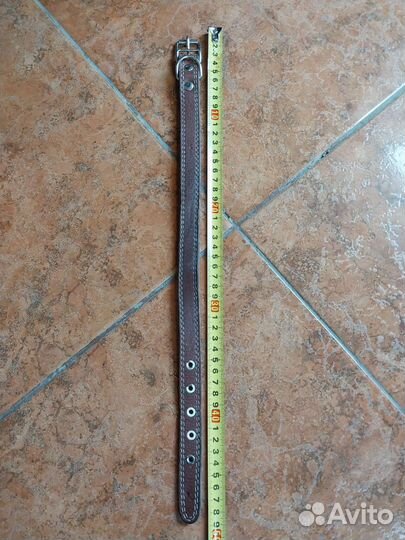 Ошейник для собак