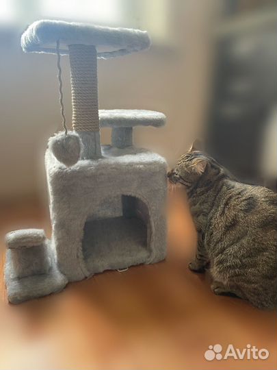 Домик для кошки с когтеточкой