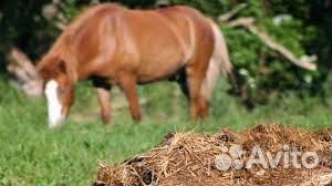 Мульча, Конская подстилка, навоз конский