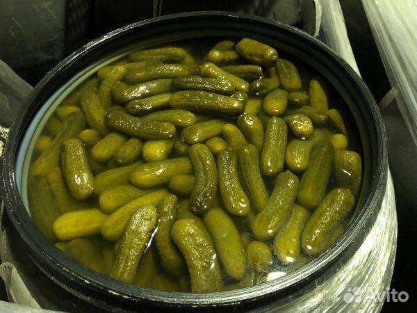 Багаевские солёные бочковые огурцы