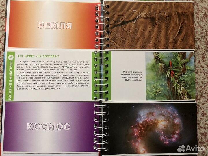 Энциклопедия для детей