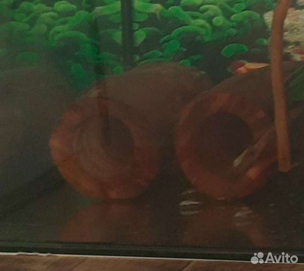 Принадлежности для аквариума