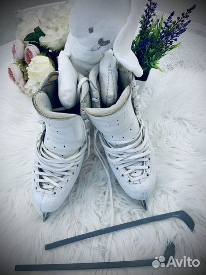 Фигурные коньки edea chorus 230