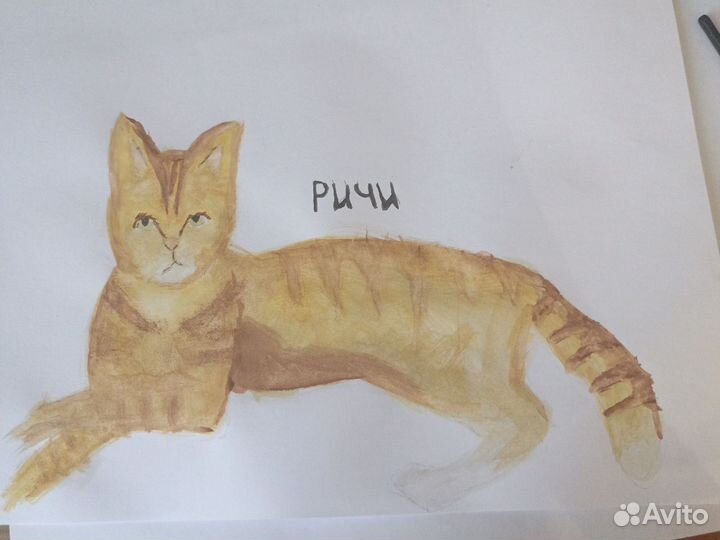 Рисую арты,ваших животных, и т.д