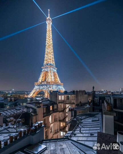 Репетитор по французскому и англ. яз., переводчик