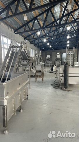 Для мойки и сортировки рыбы