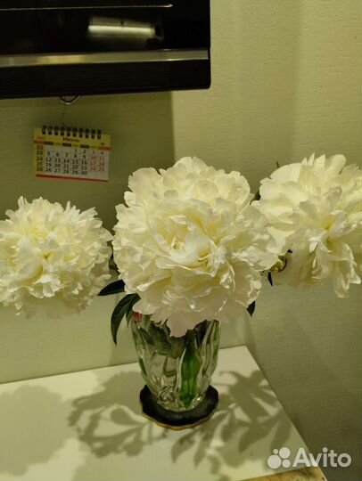 Пионы саженцы