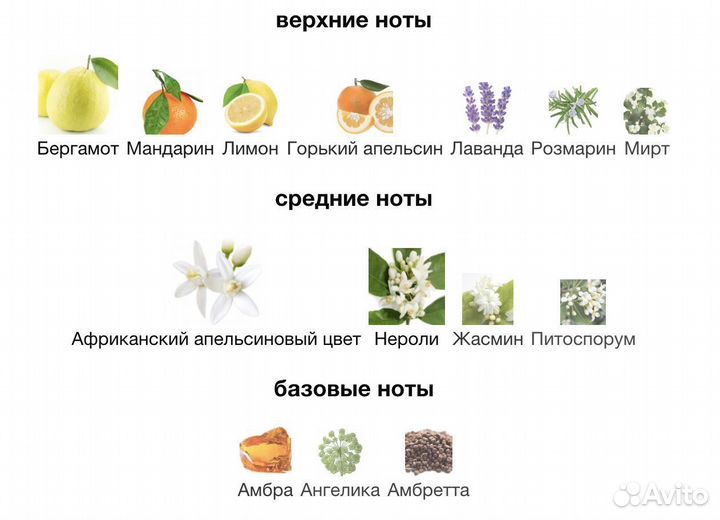 Духи унисекс Tom Ford Neroli Portofino 100мл