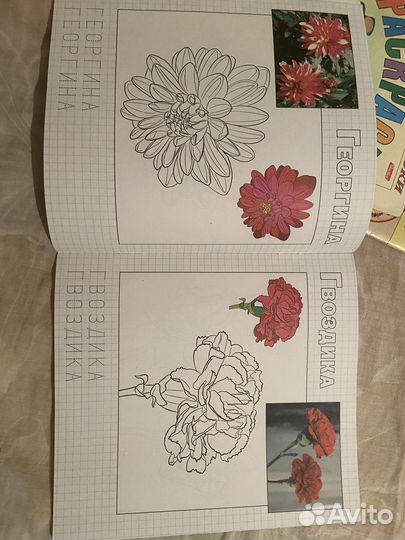 Раскраска, вырежи и наклей