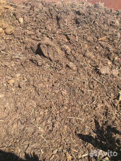 Конский навоз