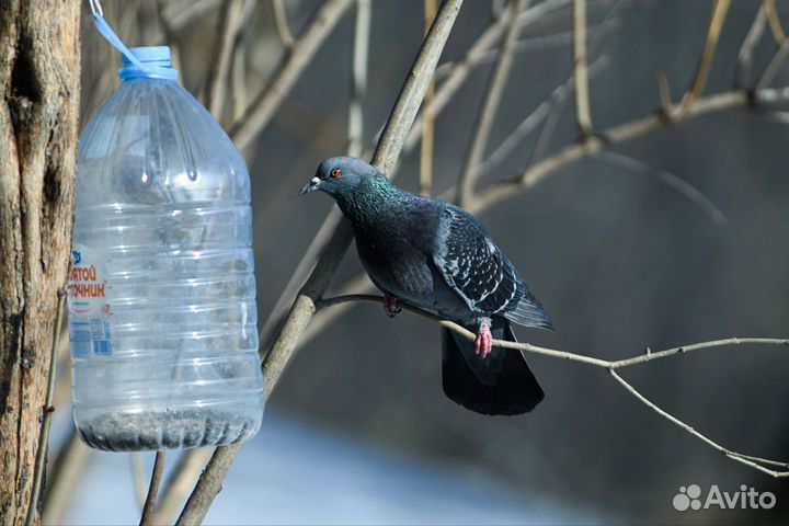 Объектив для Nikon Z. 500mm