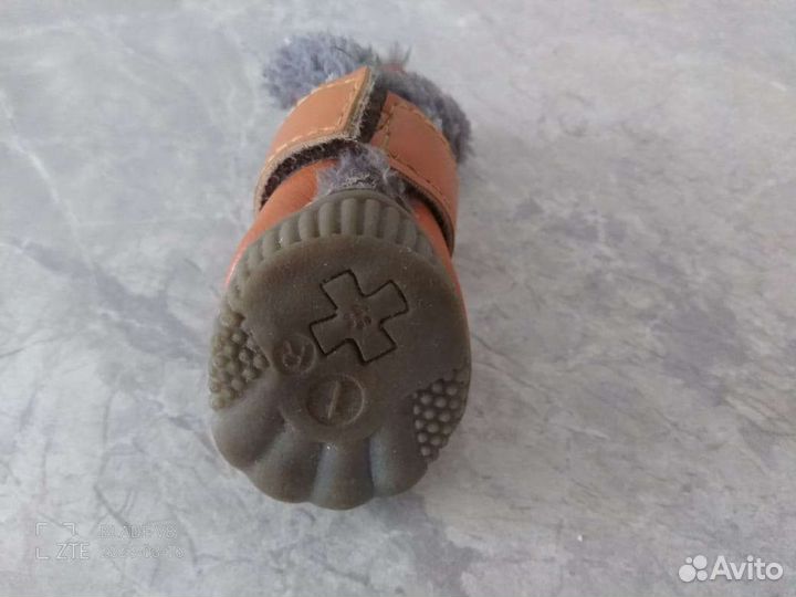 Ботиночки для маленькой собачки