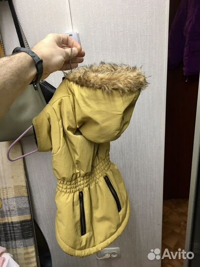 Курточки для собачки