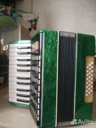 Аккордеон 1/2 Шуя