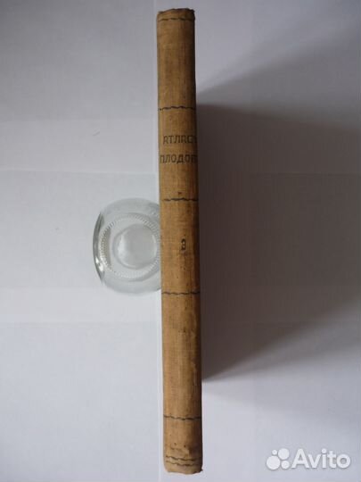 А.С. Гребницкий атлас плодов том 3