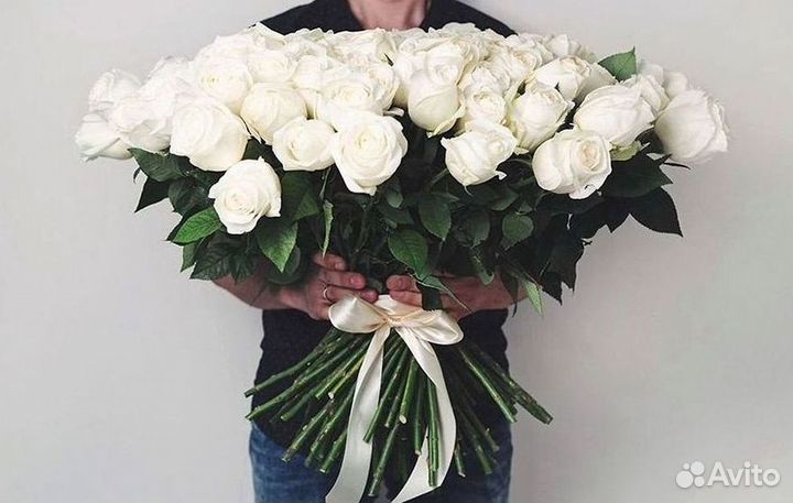 101 роза цветы букеты доставка 25 51 101 роза