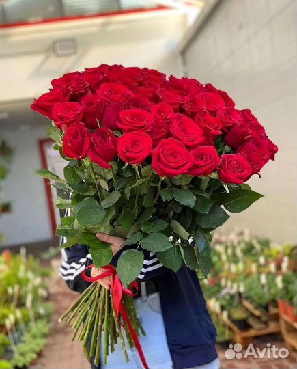 Высокие розы, букеты, цветы Доставка